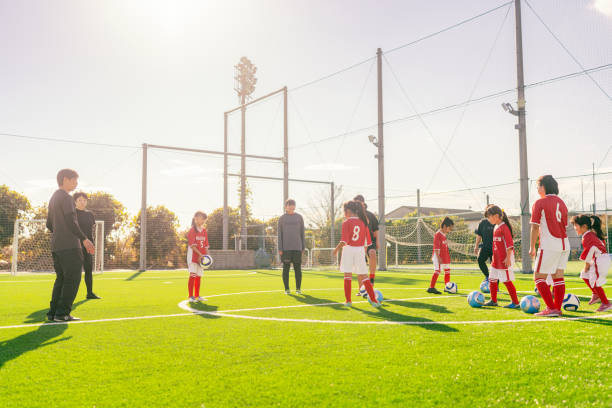 哈维曾在采 哈维曾在采